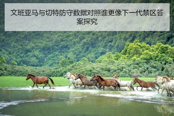 文班亚马与切特防守数据对照谁更像下一代禁区答案探究