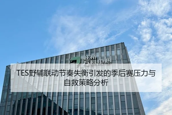 TES野辅联动节奏失衡引发的季后赛压力与自救策略分析