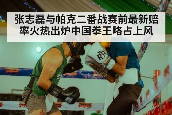 张志磊与帕克二番战赛前最新赔率火热出炉中国拳王略占上风