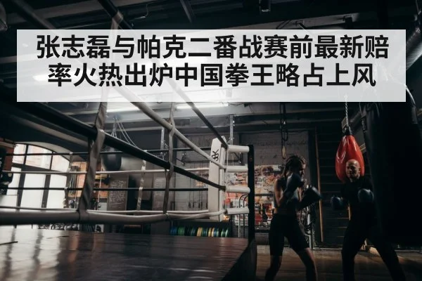 boxer training