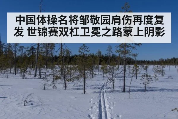 中国体操名将邹敬园肩伤再度复发 世锦赛双杠卫冕之路蒙上阴影