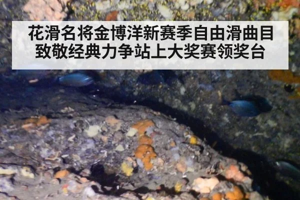 花滑名将金博洋新赛季自由滑曲目致敬经典力争站上大奖赛领奖台